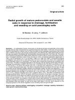 Báo cáo lâm nghiệp: 