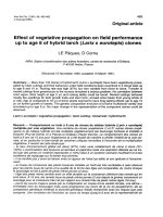 Báo cáo khoa học: 