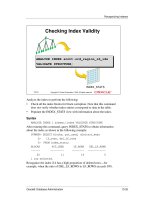 Oracle 8 Database Administration volume 2 instruction guide phần 2 pot