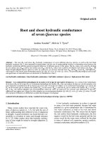 Báo cáo toán học: 