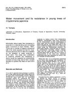 Báo cáo lâm nghiệp: 