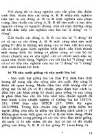 Giống lúa lai Trung Quốc và kỹ thuật gieo trồng part 2 potx