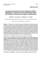 Báo cáo lâm nghiệp: 