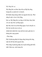 Sấy bằng bức xạ thụ năng lượng docx