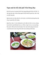 Ngon mát hủ tiếu khô phố Trần Hưng Đạo pot