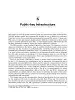 Internet Security Cryptographic Principles, Algorithms and Protocols - Chapter 6 potx