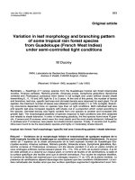 Báo cáo khoa học: 