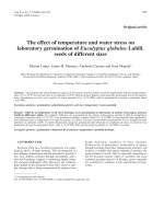 Báo cáo toán học: 