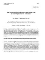 Báo cáo lâm nghiệp: 