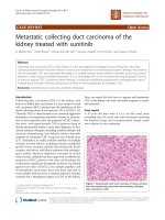 báo cáo khoa học: 