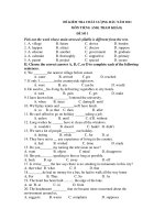 ĐỀ KIỂM TRA CHẤT LƯỢNG ĐẦU NĂM 2011 MÔN TIẾNG ANH( THAM KHẢO) ĐỀ SỐ 1 doc