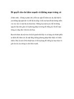 Bí quyết cho da khỏe mạnh và không mụn trứng cá pdf