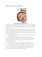 Viêm màng não ở người lớn ppsx