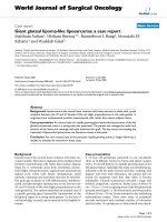 Báo cáo khoa học: 