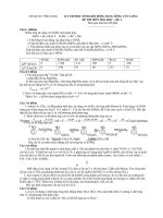 KỲ THI HỌC SINH GIỎI ĐỒNG BẰNG SÔNG CỬU LONG ĐỀ THI MÔN HÓA HỌC – ĐỀ A ppt