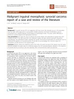 Báo cáo khoa học: 