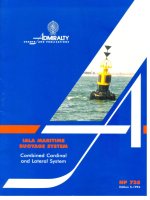 Hệ thống phao hàng hải pptx