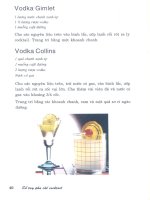 Sổ tay pha chế Cocktail part 6 docx