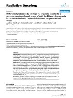 Báo cáo khoa học: 