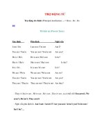 Ngữ pháp Tiếng Anh thông dụng: TRỢ ĐỘNG TỪ pot