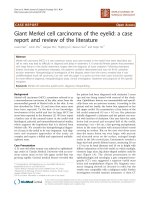 báo cáo khoa học: 