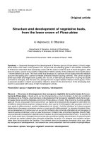 Báo cáo khoa học: 