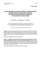 Báo cáo lâm nghiệp: 