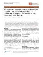 Báo cáo khoa học: 