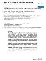 Báo cáo khoa học: 