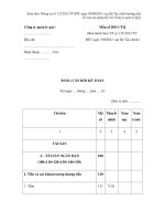 MẪU BẢNG CÂN ĐỐI KẾ TOÁN pdf