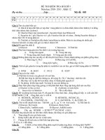 ĐỀ THI KIỂM TRA BÀI SỐ 1 Năm học 2010- 2011 pot