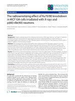 Báo cáo khoa học: 