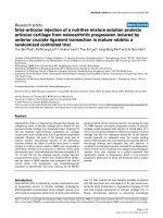 Intra-articular injection of a nutritive mixture solution protects articular cartilage from osteoarthritic progression induced by anterior cruciate ligament transection in mature rabbits: a randomized controlled trial ppsx