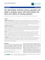 Báo cáo khoa học: 