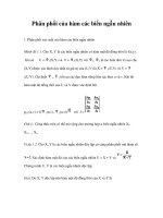 Phân phối của hàm các biến ngẫu nhiên trong xác suất thống kê - 1 pptx