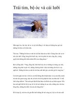 Trái tim, bộ óc và cái lưỡi docx