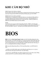 KHE CẮM BỘ NHỚ pot