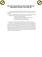 Giáo trình hướng dẫn tìm hiểu về đặc điểm hệ thống kênh vô tuyến ở mỗi quốc gia phần 1 docx