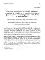 Báo cáo toán học: 