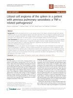 báo cáo khoa học: 