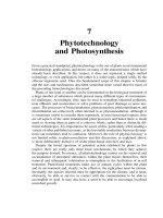 Environmental Biotechnology - Chapter 7 ppt