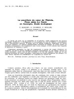 Báo cáo lâm nghiệp: 