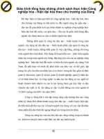 Giáo trình tổng hợp những chính sách thực hiện Công nghiệp hóa - Hiện đại hóa theo chủ trương của Đảng phần 1 doc