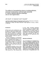 Báo cáo lâm nghiệp: 