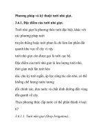 Phương pháp và kỹ thuật tưới nhỏ giọt. docx