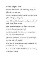 Cấu tạo giải phẫu của lá ppsx