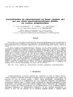 Báo cáo lâm nghiệp: 