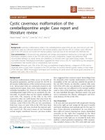 báo cáo khoa học: 