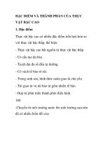ĐẶC ĐIỂM VÀ THÀNH PHẦN CỦA THỰC VẬT BẬC CAO pdf