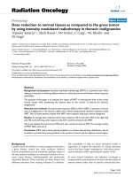 Báo cáo khoa học: 